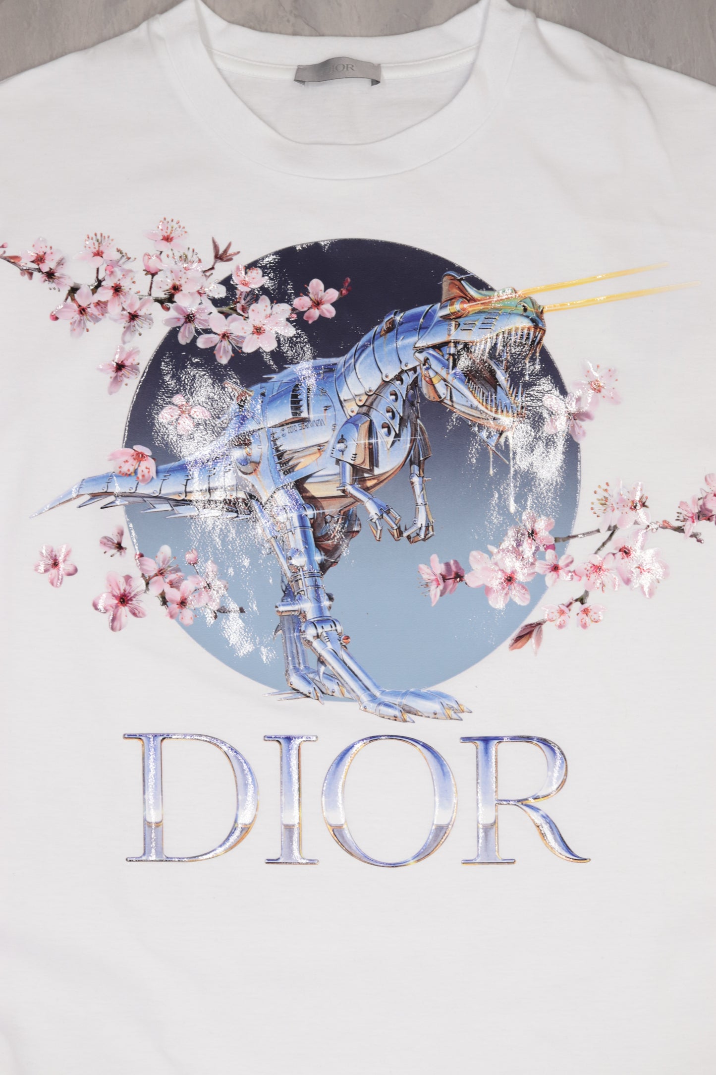 Dior X Hajime Tee Size XS